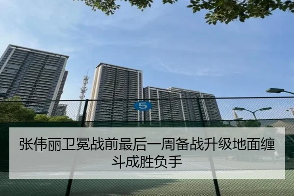 张伟丽卫冕战前最后一周备战升级地面缠斗成胜负手