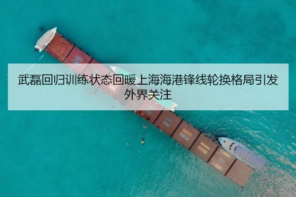 武磊回归训练状态回暖上海海港锋线轮换格局引发外界关注